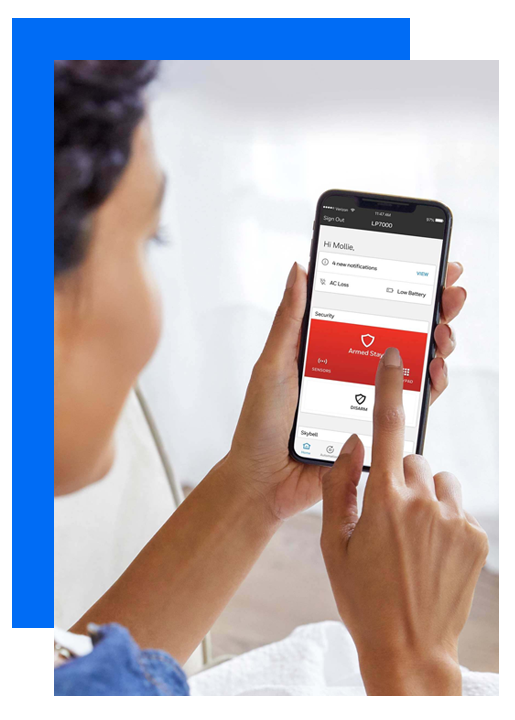 varitec-blue-bgrnd-img-alarm-systems